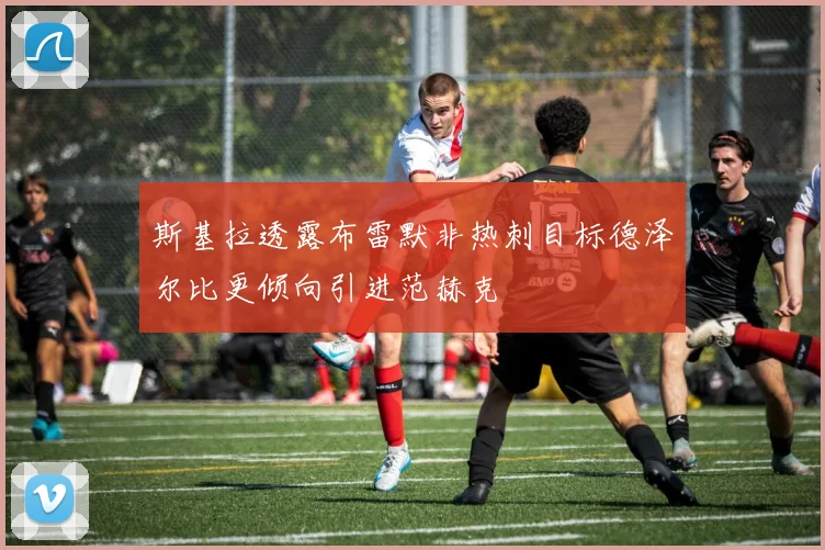斯基拉透露布雷默非热刺目标德泽尔比更倾向引进范赫克