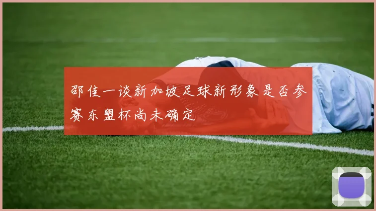 邵佳一谈新加坡足球新形象是否参赛东盟杯尚未确定
